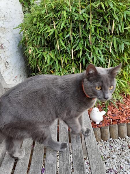 Photo de Keiko