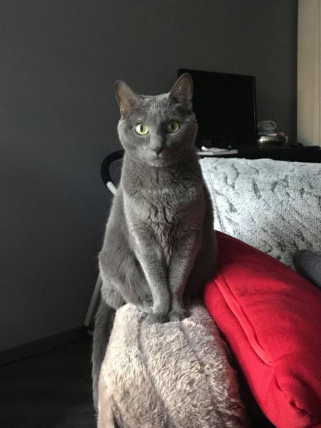 Maïa
