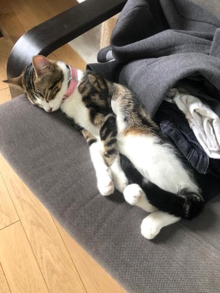 Photo de Mistyque