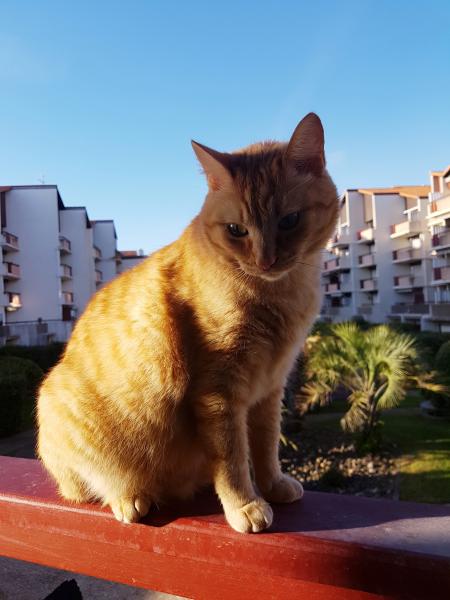 Photo de Roudoudou