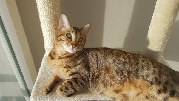 Photo de Yumi
