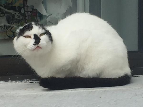 Photo de Orange