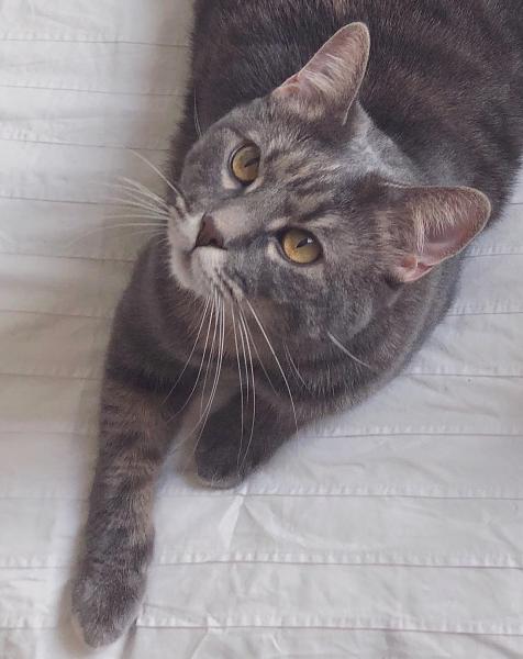 Photo de ZIVA