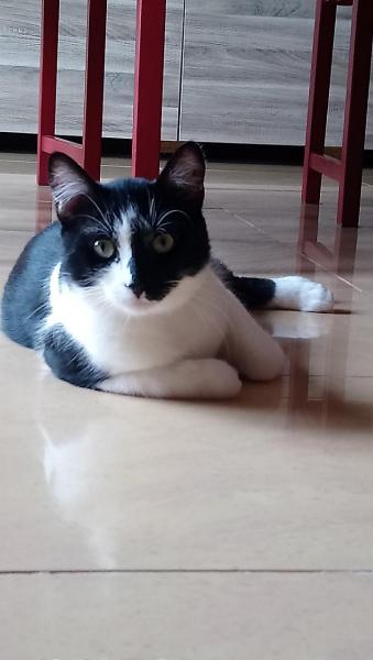 Photo de Blue