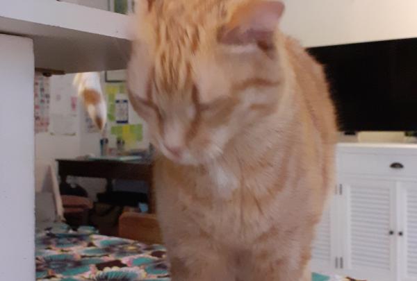 Photo de Gustave