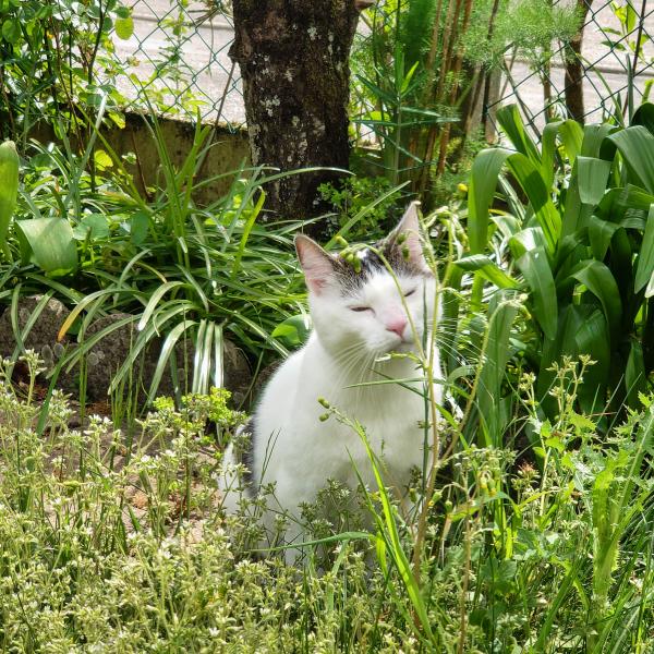 Photo de Melba
