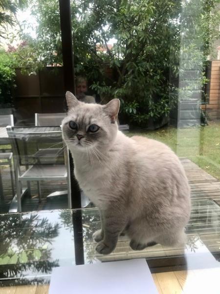 Photo de Diabolo