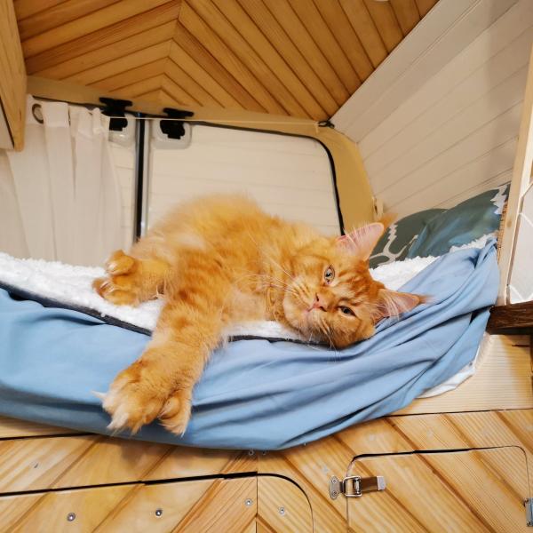 Photo de Patoune