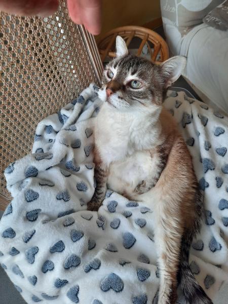 Photo de Moumoun