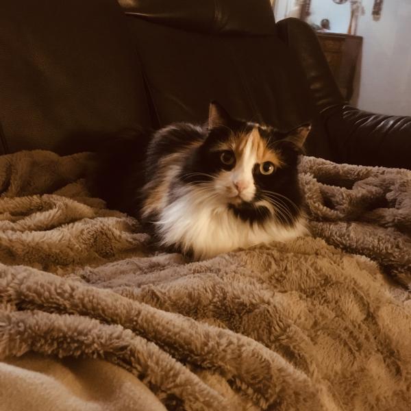 Photo de Milka