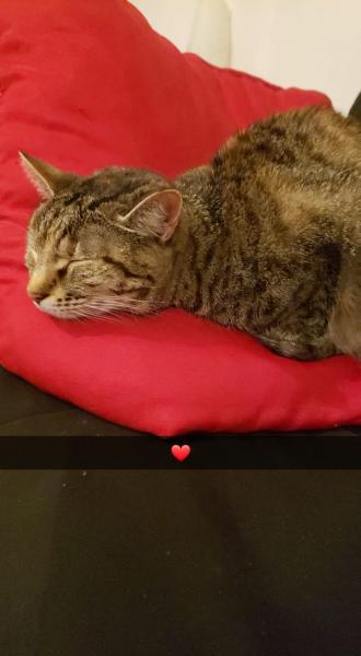 Photo de Molly