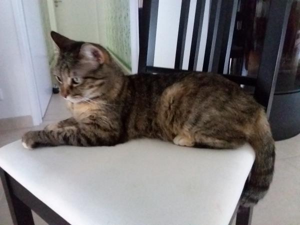 Photo de Lila