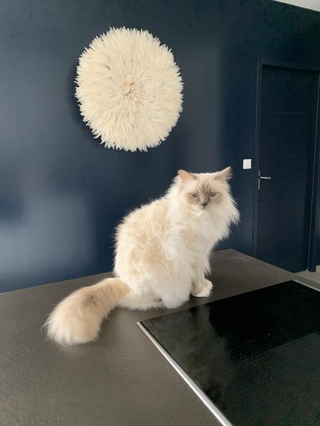 Photo de Mya