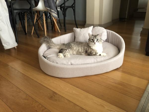 Bianca