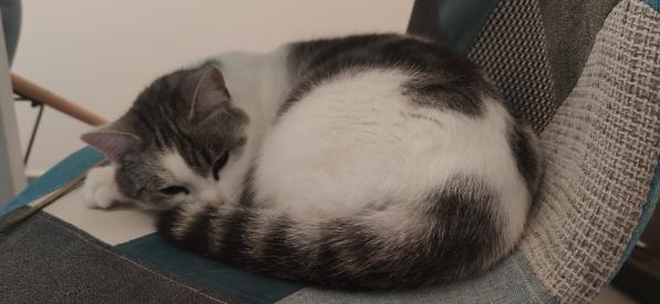 Photo de Odyssée