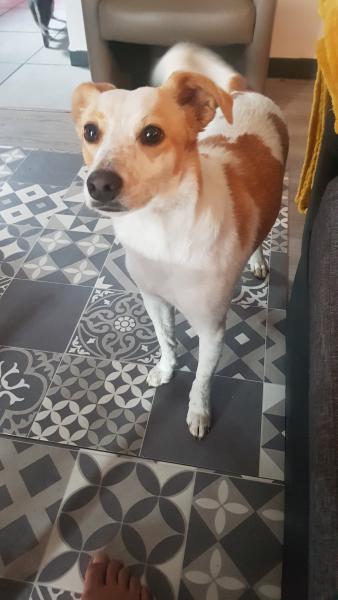 Photo de Milo