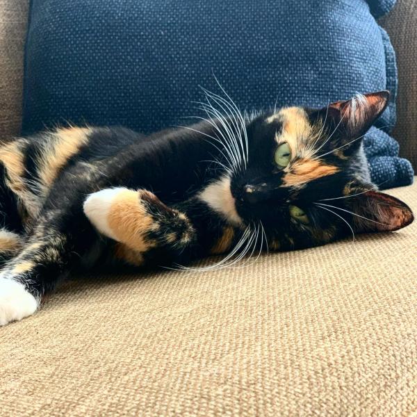 Photo de Lola