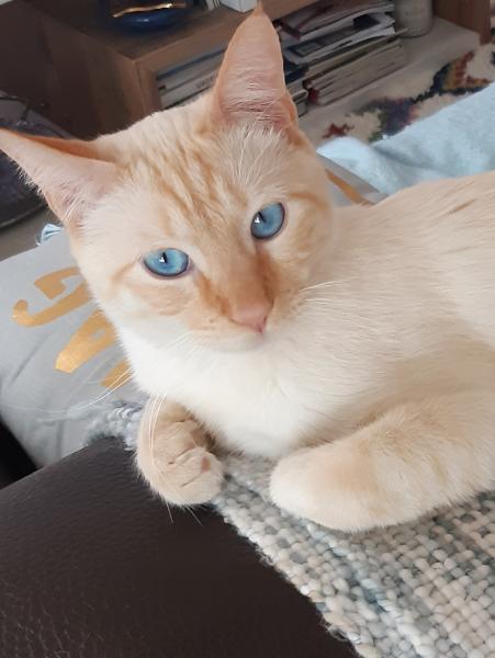 Photo de Ruby