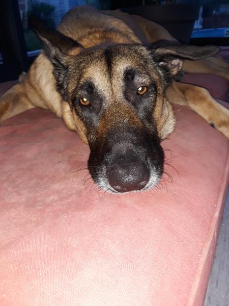 Photo de Louna