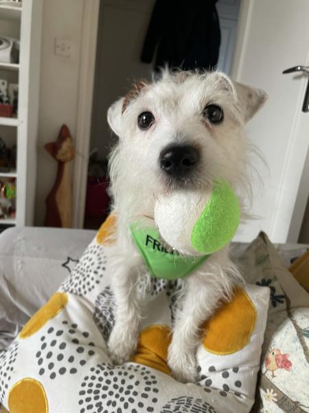 Photo de O'ptitcoeur