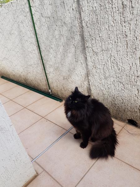 Photo de Princesse
