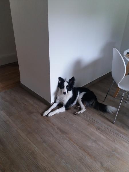 Photo de Pepsie