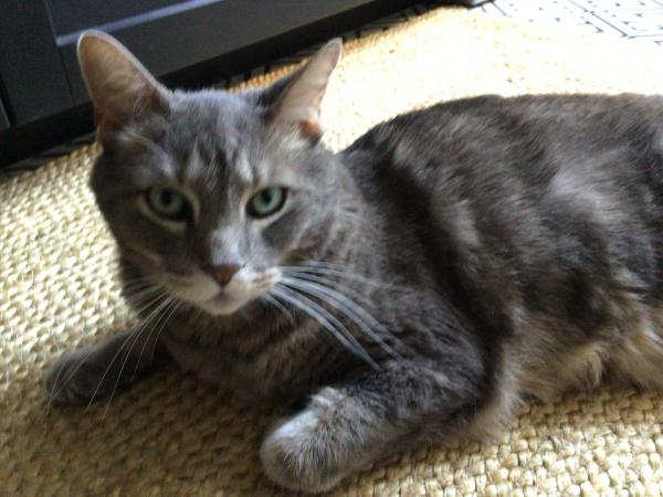 Milton