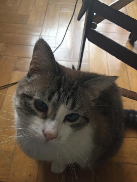 Photo de Tosca