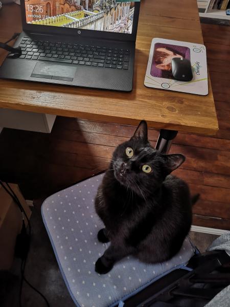 Photo de Salem
