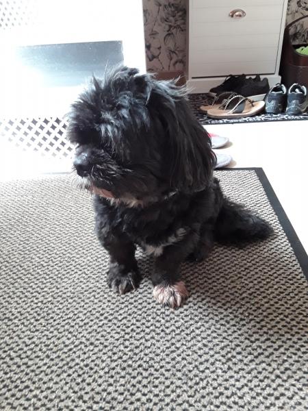 Photo de César