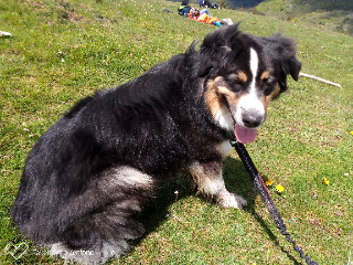 Naska