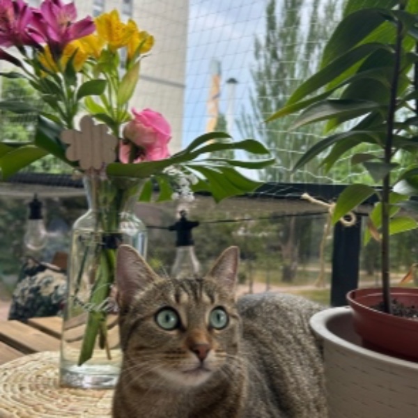 Mia