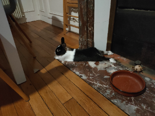 Berlioz