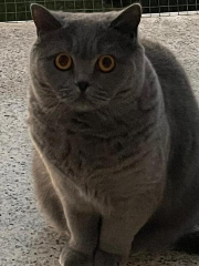 Photo de Niki