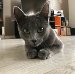 Photo de Ryhana
