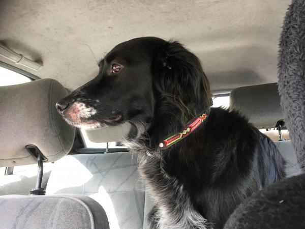 Théïà