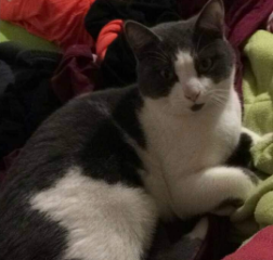 Photo de Néo