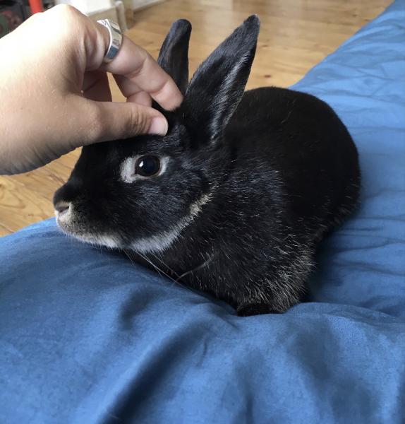 Photo de Pêche