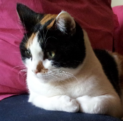 Photo de Poupoune