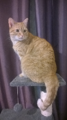 Photo de Roxy