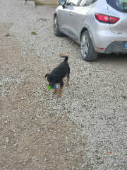 Photo de OROKS