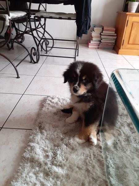 Photo de Sunny