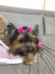 Photo de Rubi