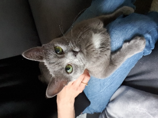Mïu