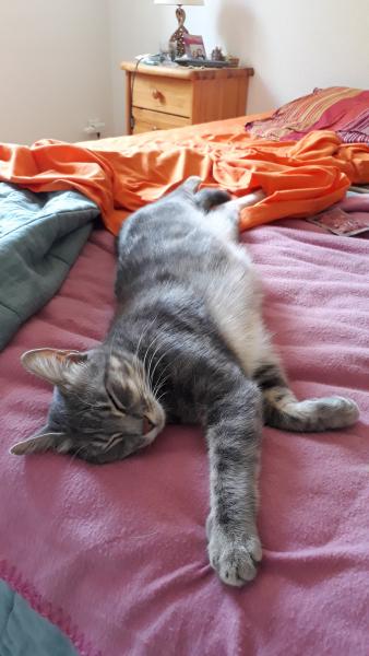 Photo de Naia
