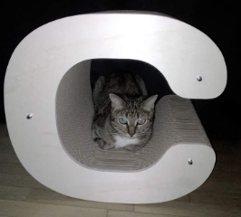 Photo de Praline