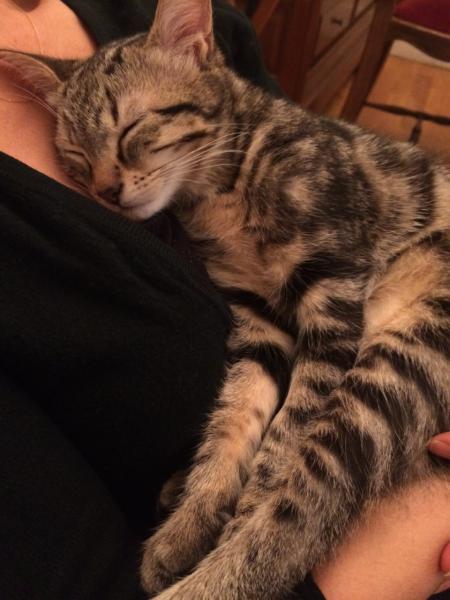 Pépette