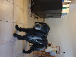 Photo de BOY