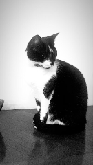 Photo de Ruby