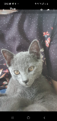 Photo de BAO